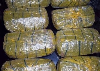 Gombe Police Record Big Wins Against Crime, Arresting Dealers, Robbers