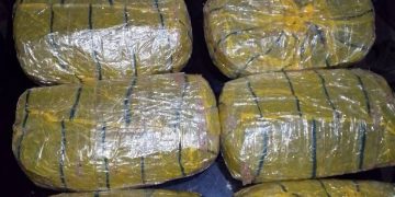 Gombe Police Record Big Wins Against Crime, Arresting Dealers, Robbers