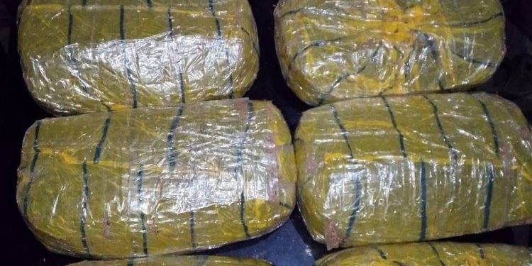 Gombe Police Record Big Wins Against Crime, Arresting Dealers, Robbers