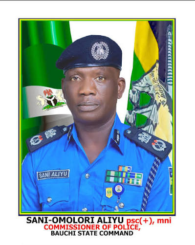 Bauchi Police Arrest Housewife For Battering Private Part Of Minor
