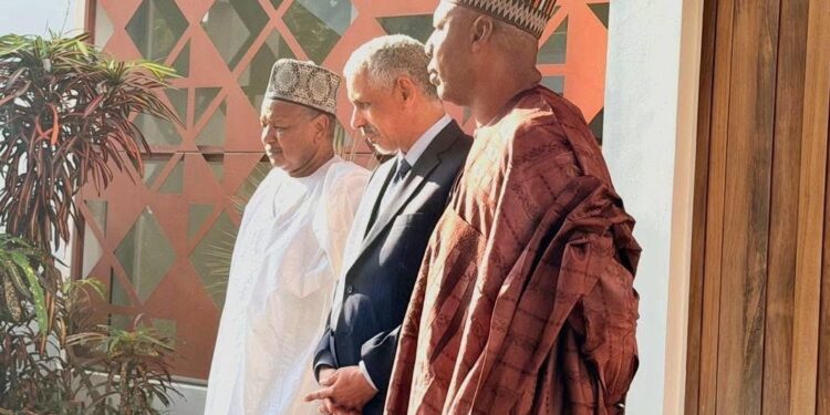 Governor Zulum Seeks AfDB Partnership to Drive Borno’s Post-Conflict Recovery