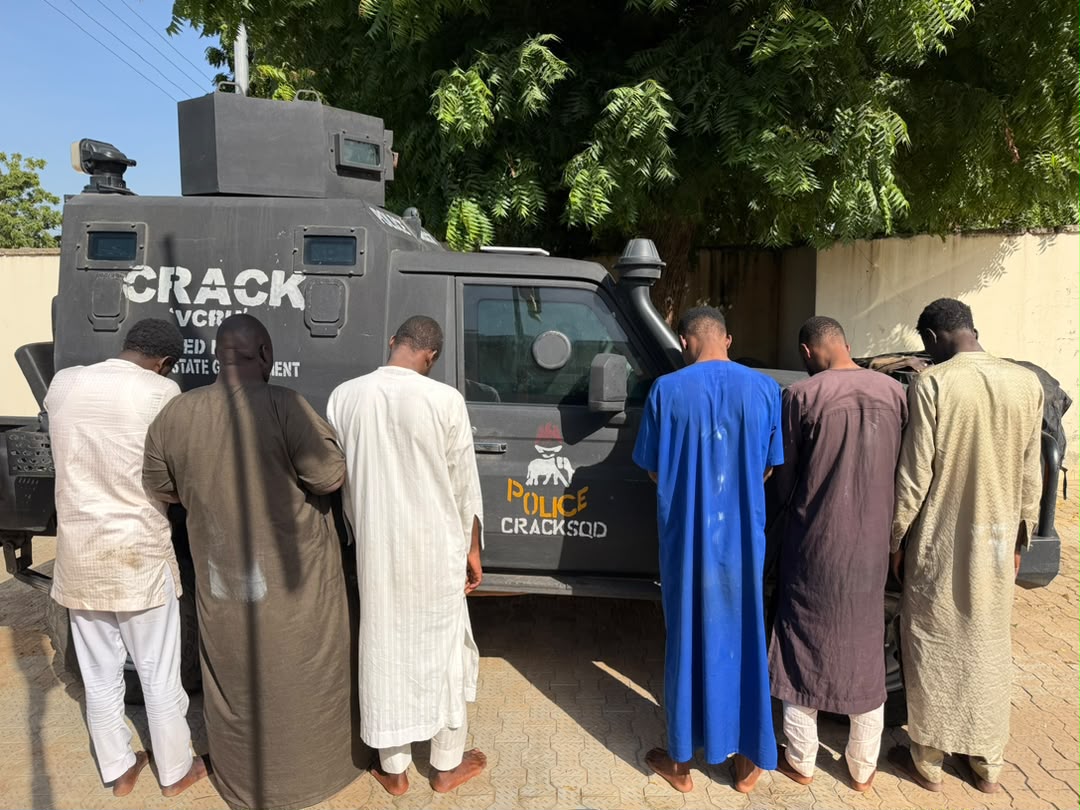 Borno Police Arrest 6 Phone Theft Suspects, Recover N5.6m Stolen from Victim's Account